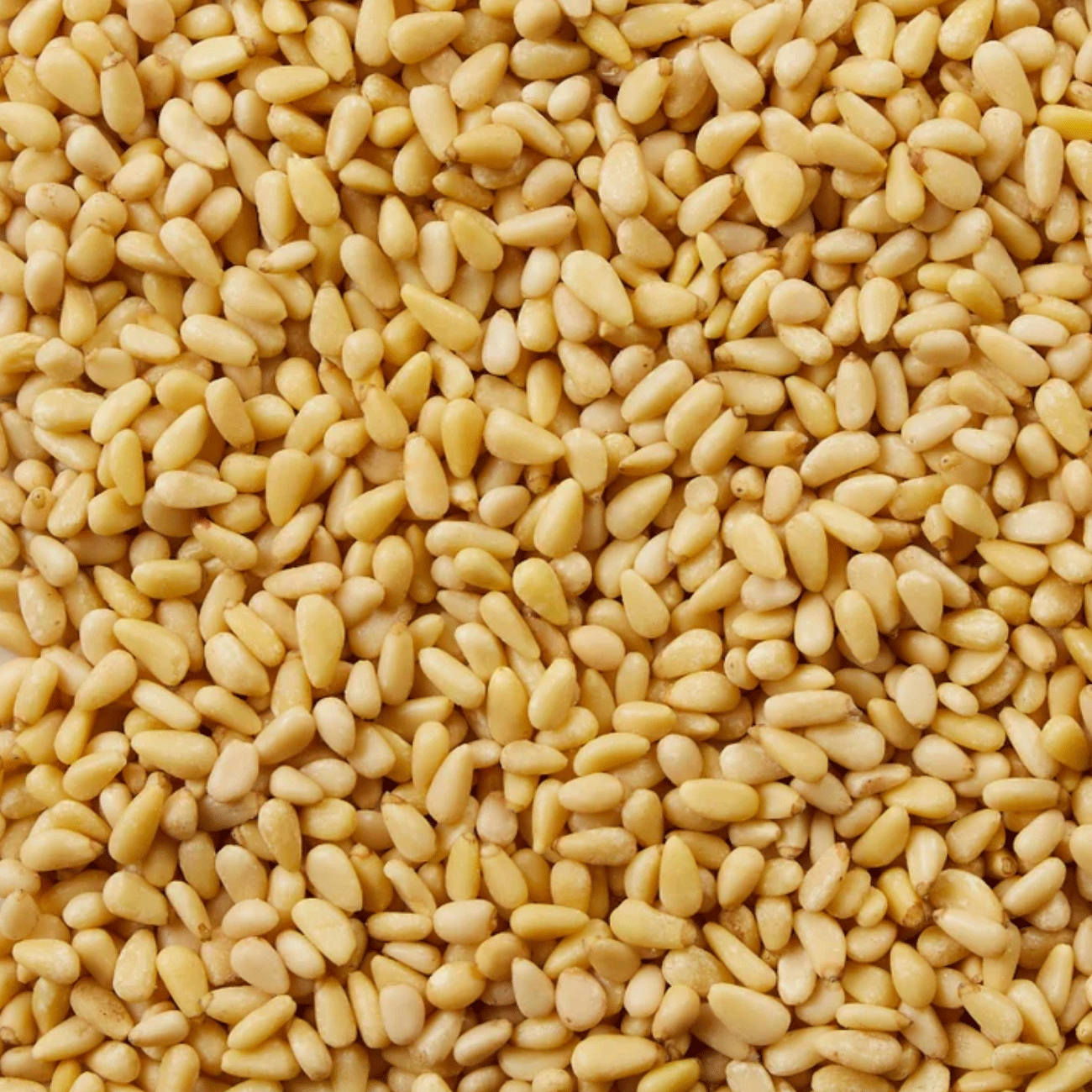 Kirkland Signature Organic Pine Nuts - 1.5 lbs / (680 g)