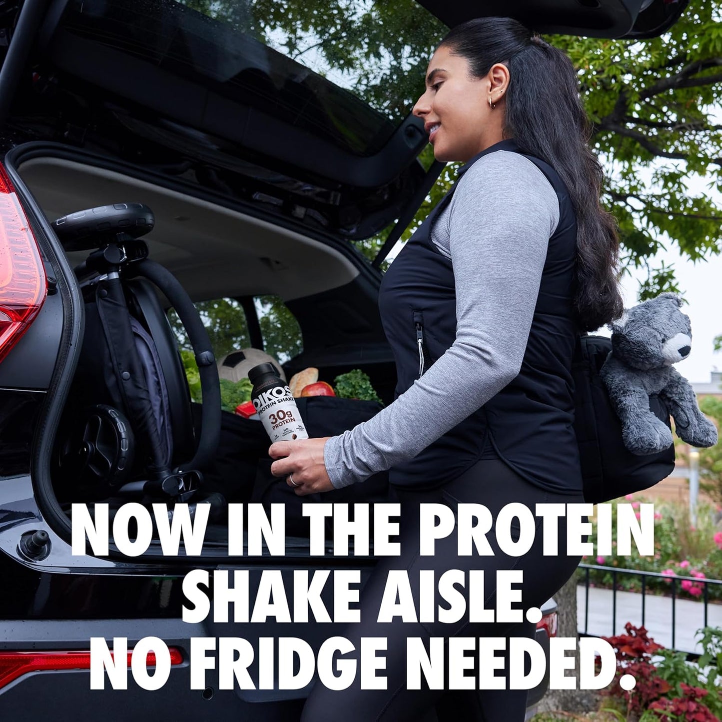 Oikos Protein Shake — 12 fl oz (355mL) × 12 Bottles