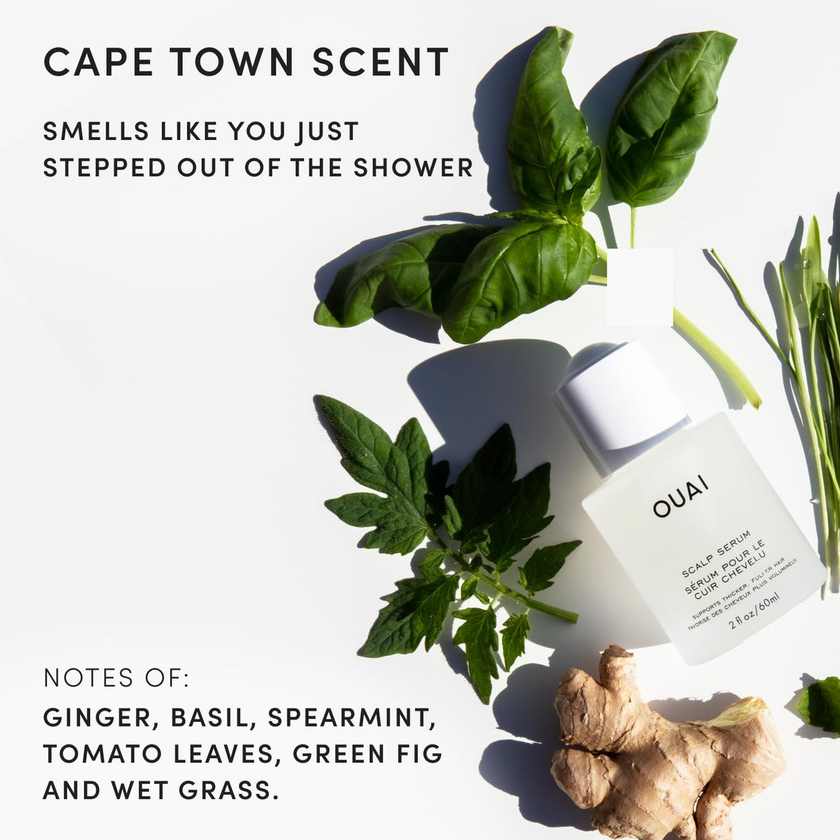 OUAI Scalp Serum - 2 fl oz (60mL)