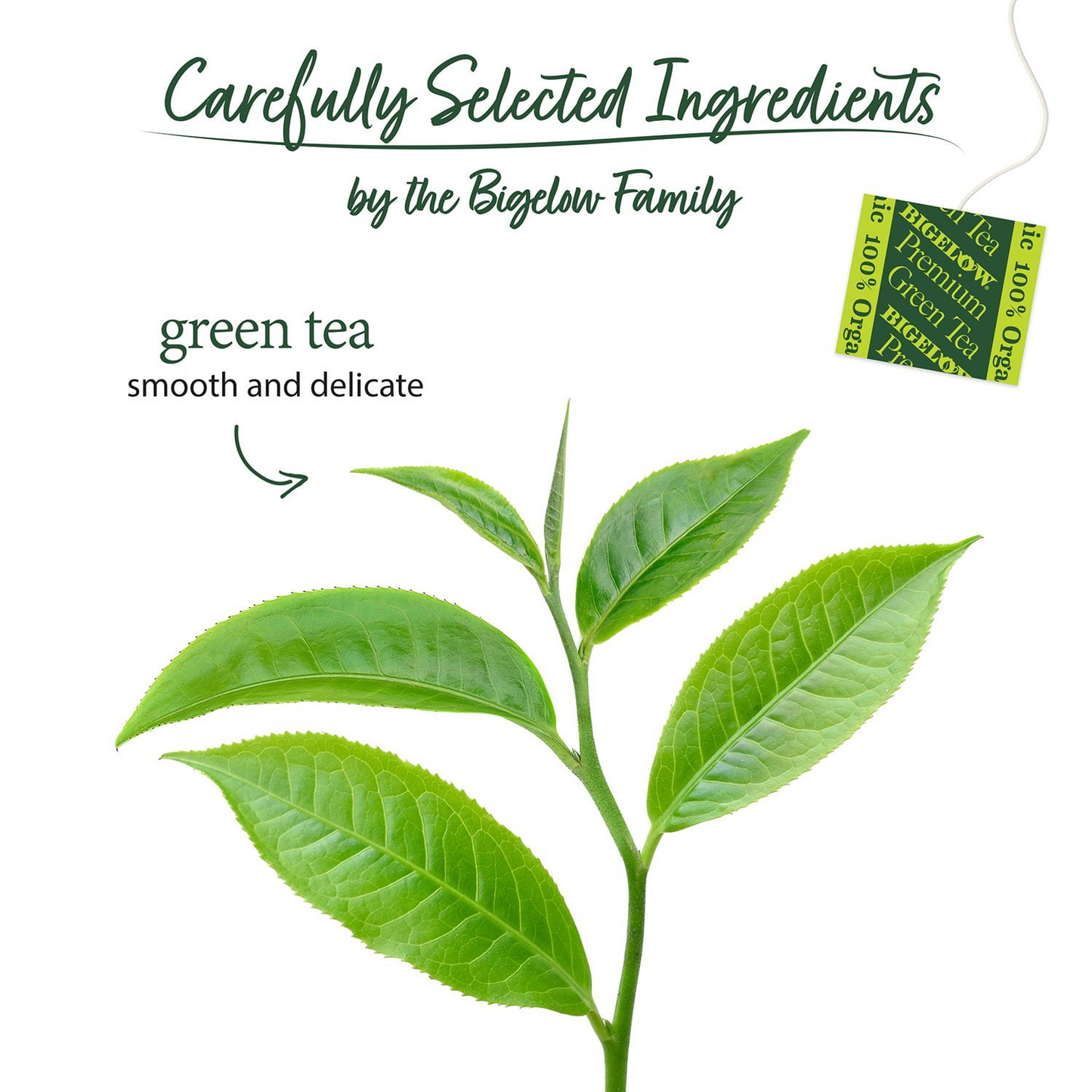 Bigelow Organic Premium Green Tea Bags - 140 ct