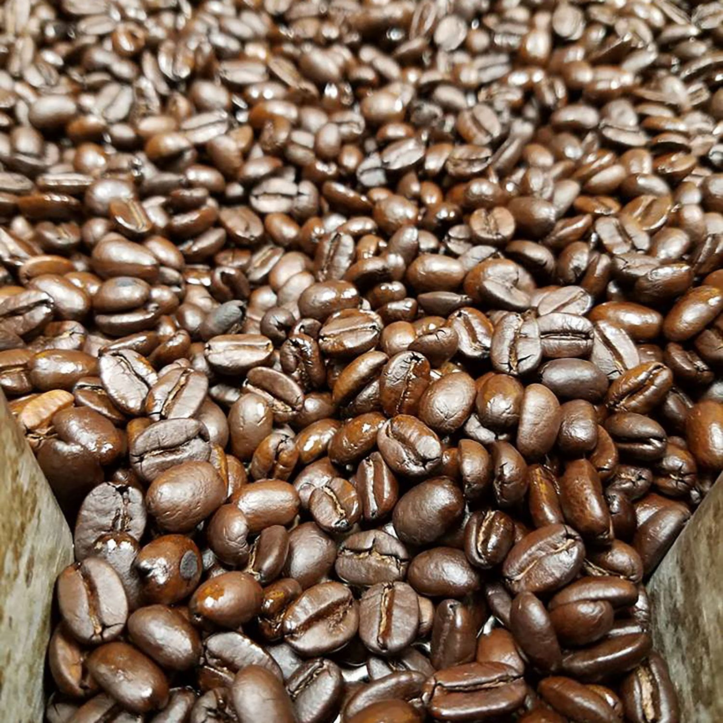 Cameron's Coffee 카메론스 유기농 퍼시픽 림 미디엄 로스트 홀빈 원두 - 64 oz (1814g)