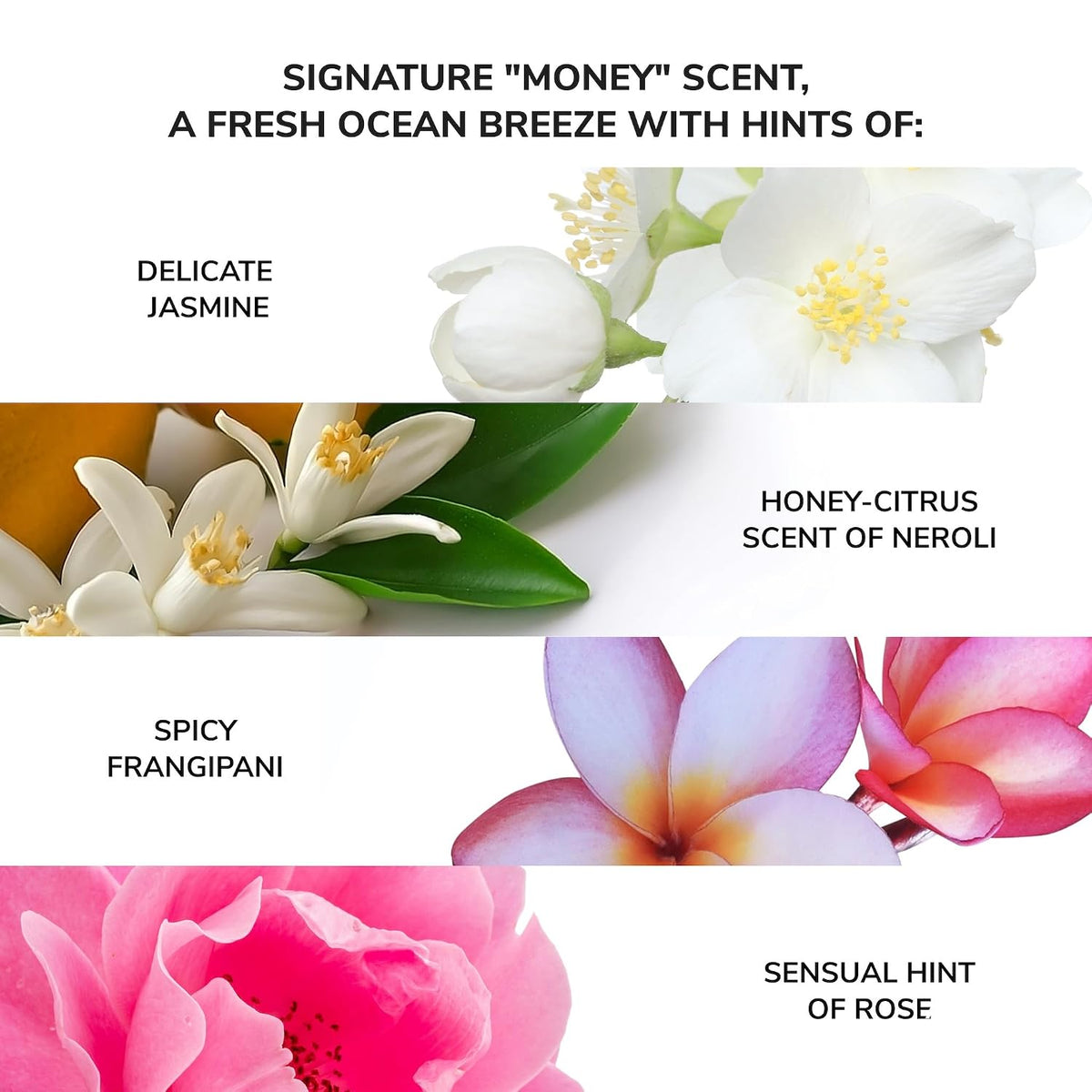 Color Wow 컬러와우 머니 런더링 하이드레이팅 샴푸 - 250mL (8.4 fl oz)