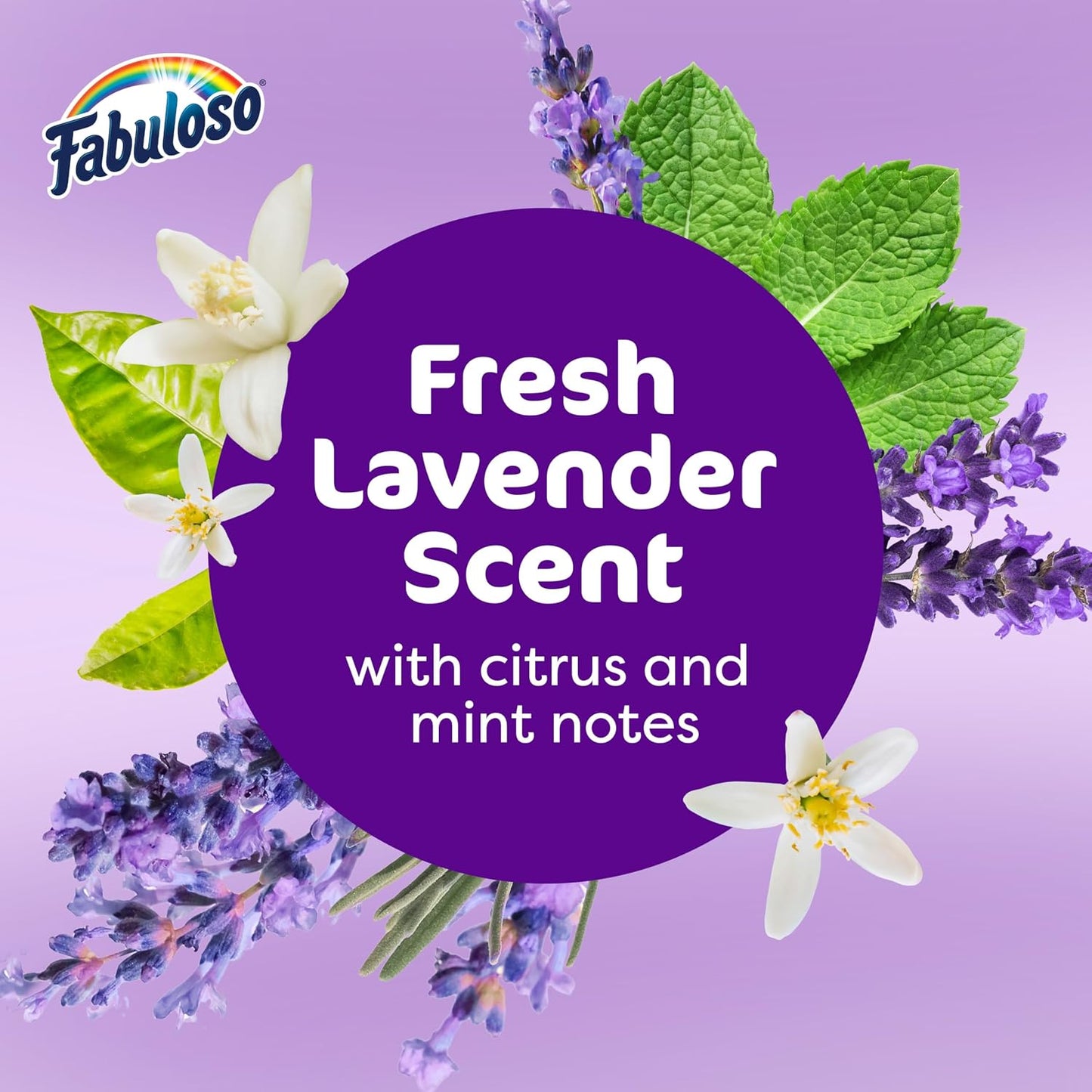 Fabuloso 파불로소 다목적 세정제 - 라벤더 - 1656mL (56 fl oz)