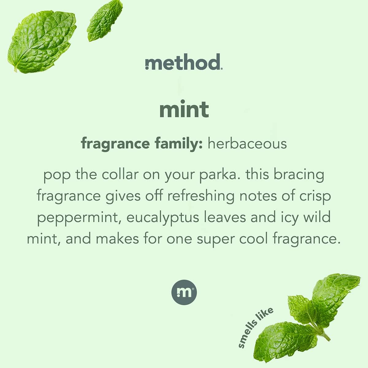 Method Glass Cleaner - Mint - 28 fl oz (828mL) × 4 Bottles