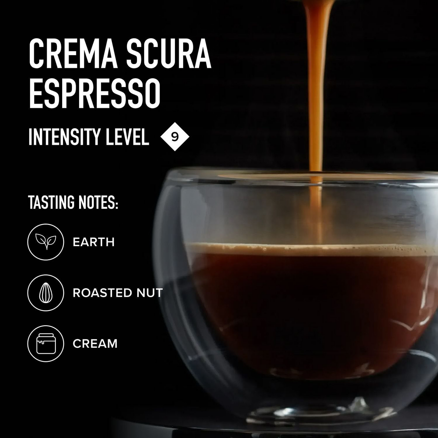 Peet's Coffee Crema Scura Intensity 9 Medium Roast Capsules (Nespresso Original) - 50 ct