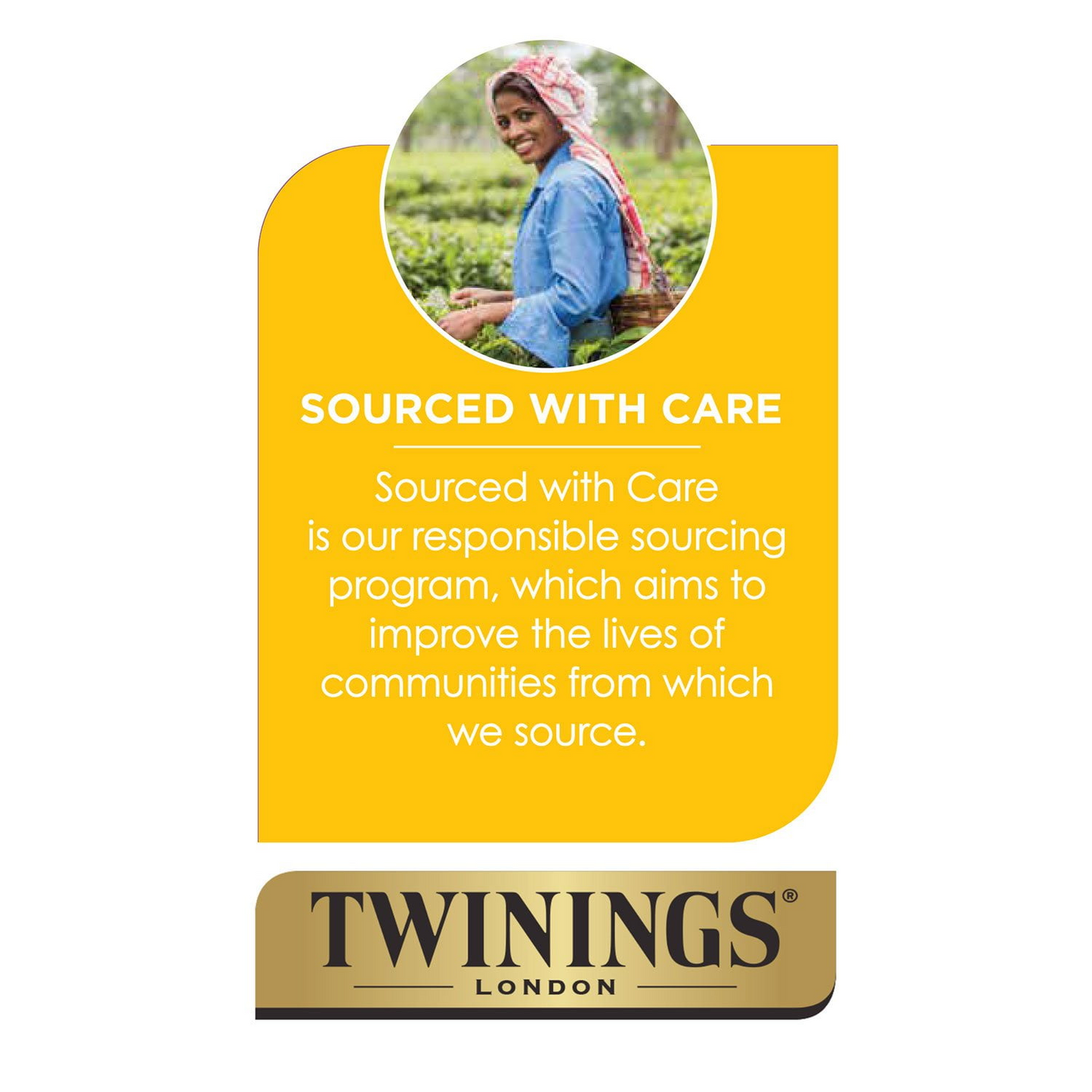 Twinings English Breakfast Tea Bags - 100 ct