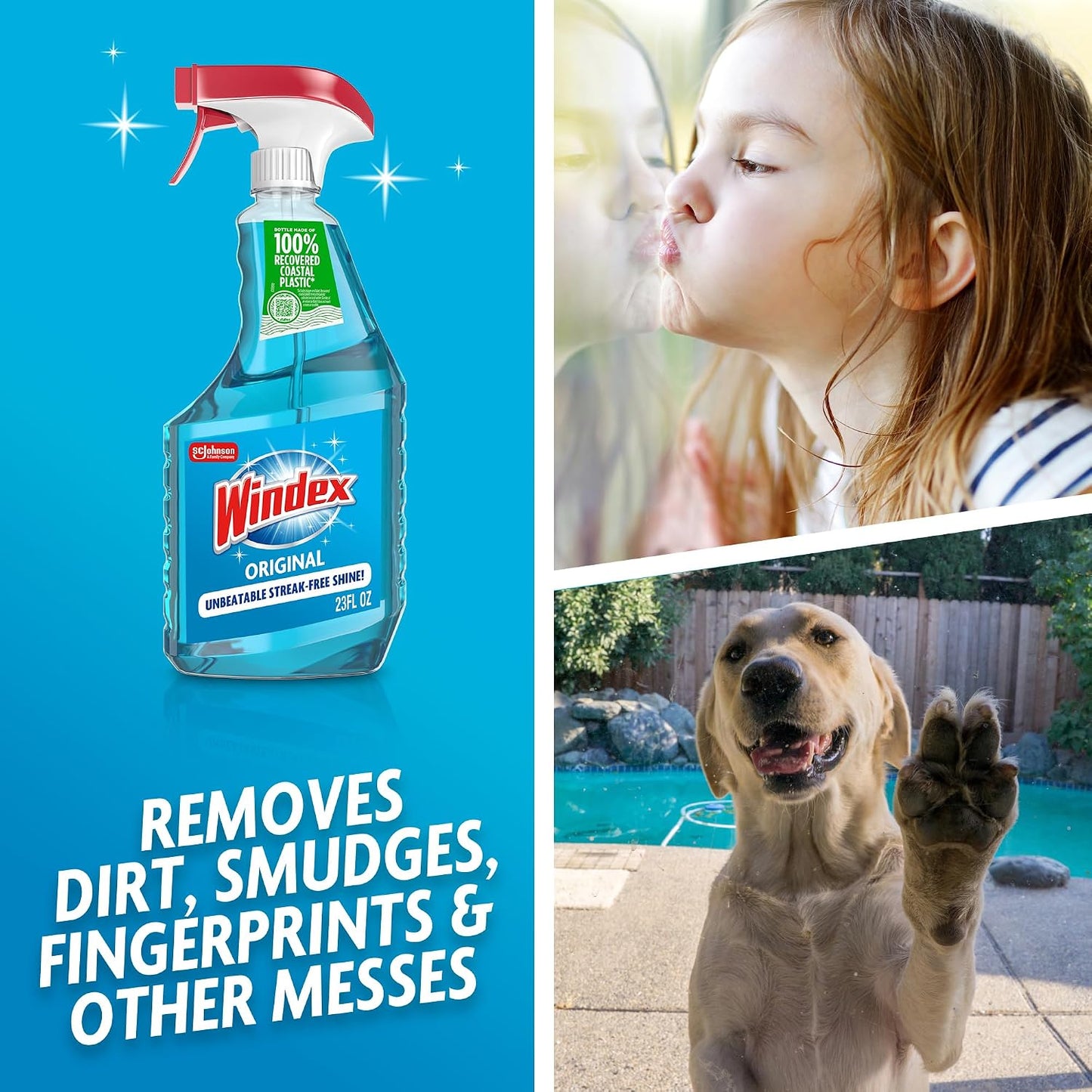 Windex 윈덱스 유리 세정제 스프레이 - 오리지널 - 680mL (23 fl oz) × 6개