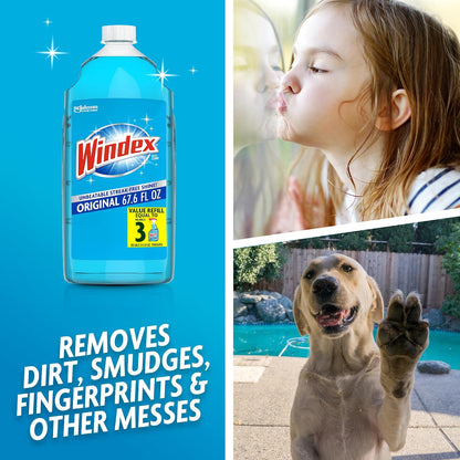 Windex 윈덱스 유리 세정제 리필 - 오리지널 - 2011mL (68 fl oz)