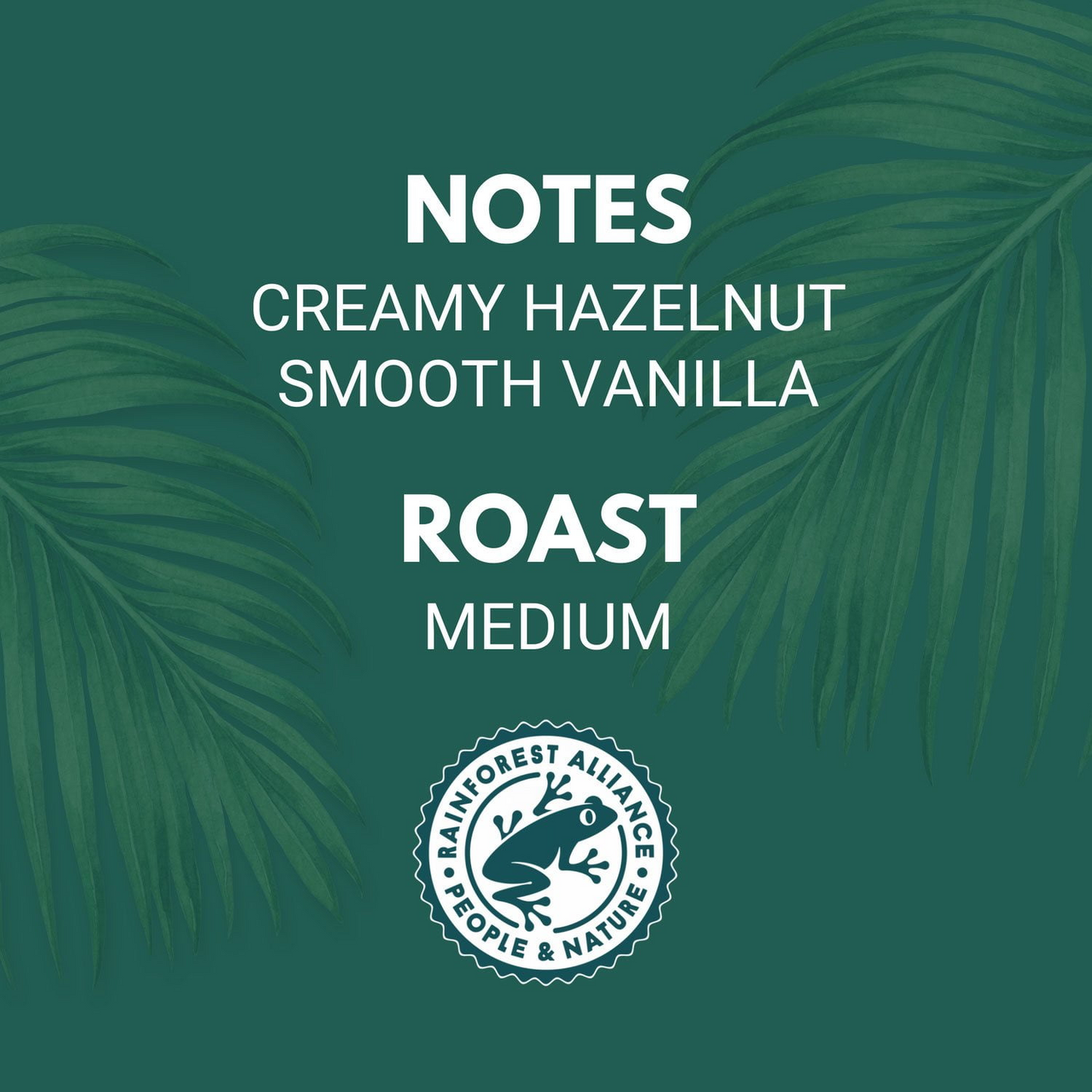 Zavida Hazelnut Vanilla Medium Roast Whole Bean Coffee - 32 oz (907g)